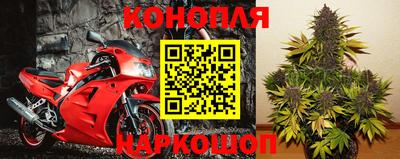 сатива Тверь