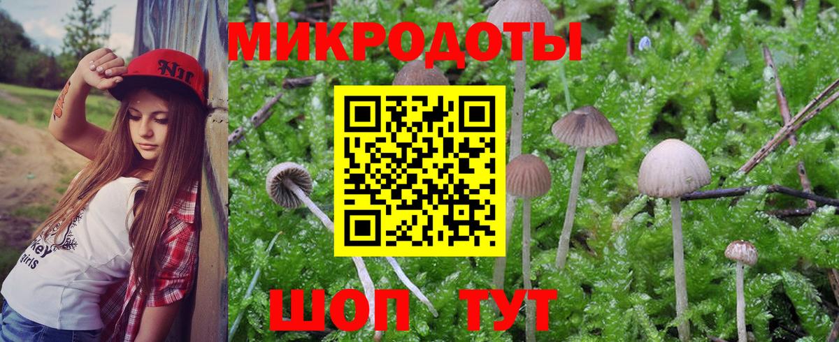 Псилоцибиновые грибы GOLDEN TEACHER  Вход с VPN  купить наркотики цена  Медногорск 